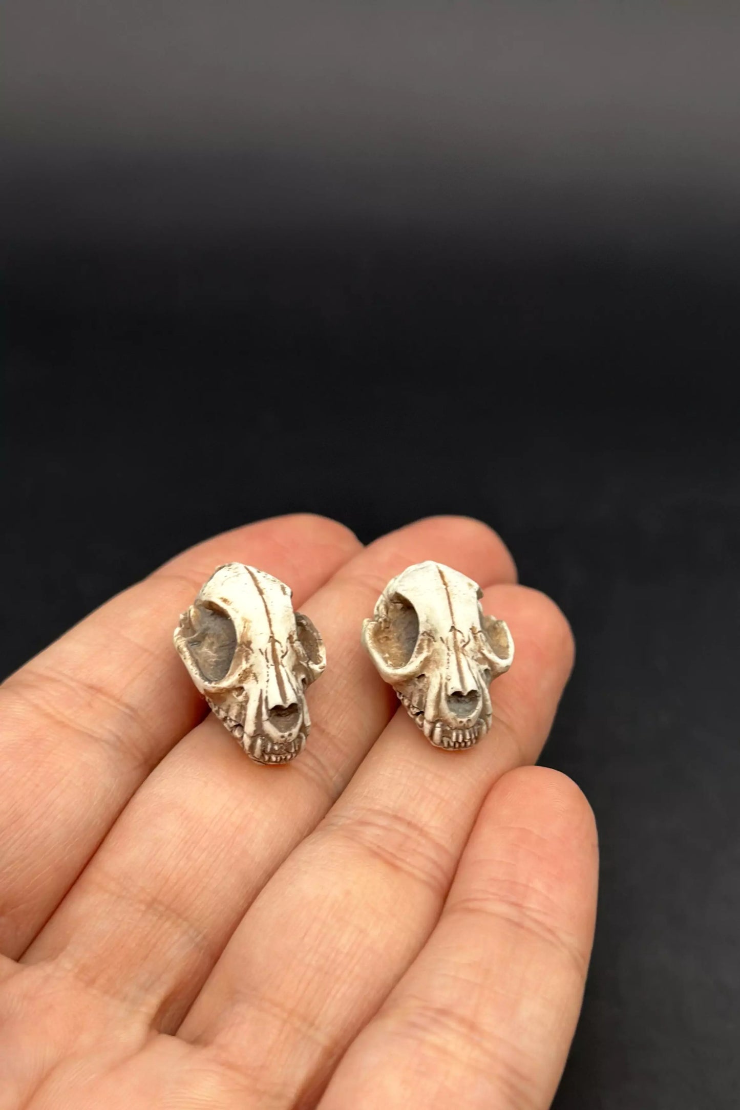 Cat Skulls Earrings in stud or dangle variations, featuring realistic cat skull and skeleton designs by ioArtStudio