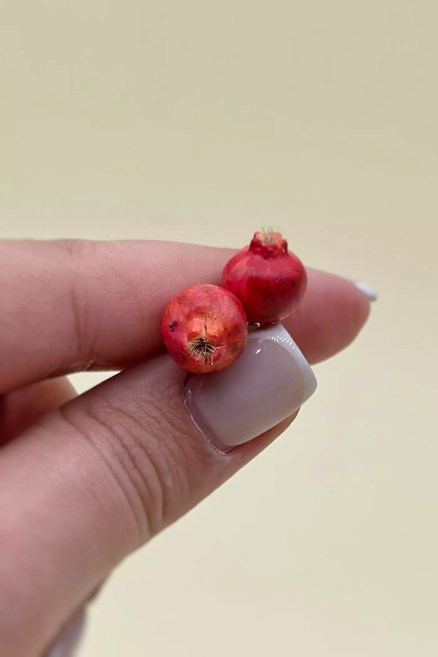 Pomegranates Leverback Earrings Set: one earring is an epoxy seed, and the other is a polymer clay whole pomegranate, with leverbacks