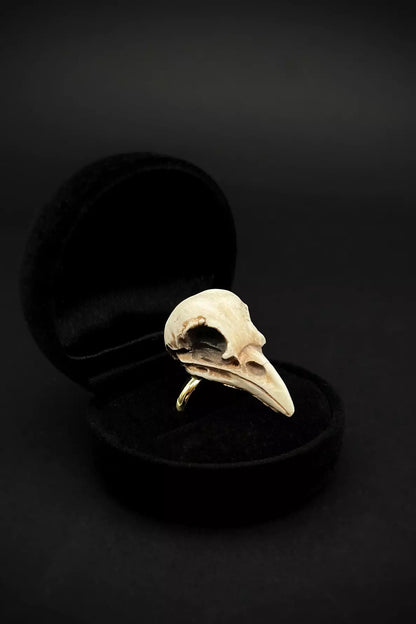 Raven Skull Jewelry Set featuring bird skull pendant, ring  and dangle earrings, handmade from polymer clay by ioArtStudio