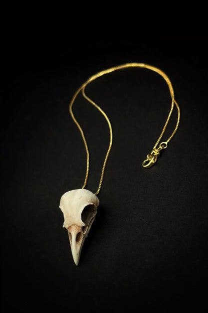 Raven Skull Jewelry Set featuring bird skull pendant, ring  and dangle earrings, handmade from polymer clay by ioArtStudio